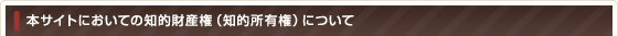 本サイトにおいての知的財産権(知的所有権)について
